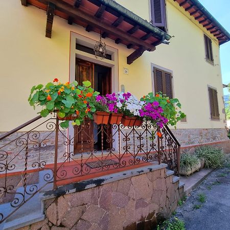 A Collodi Io & Mamma100 M Dal Parco Di Pinocchio Bed & Breakfast Ngoại thất bức ảnh