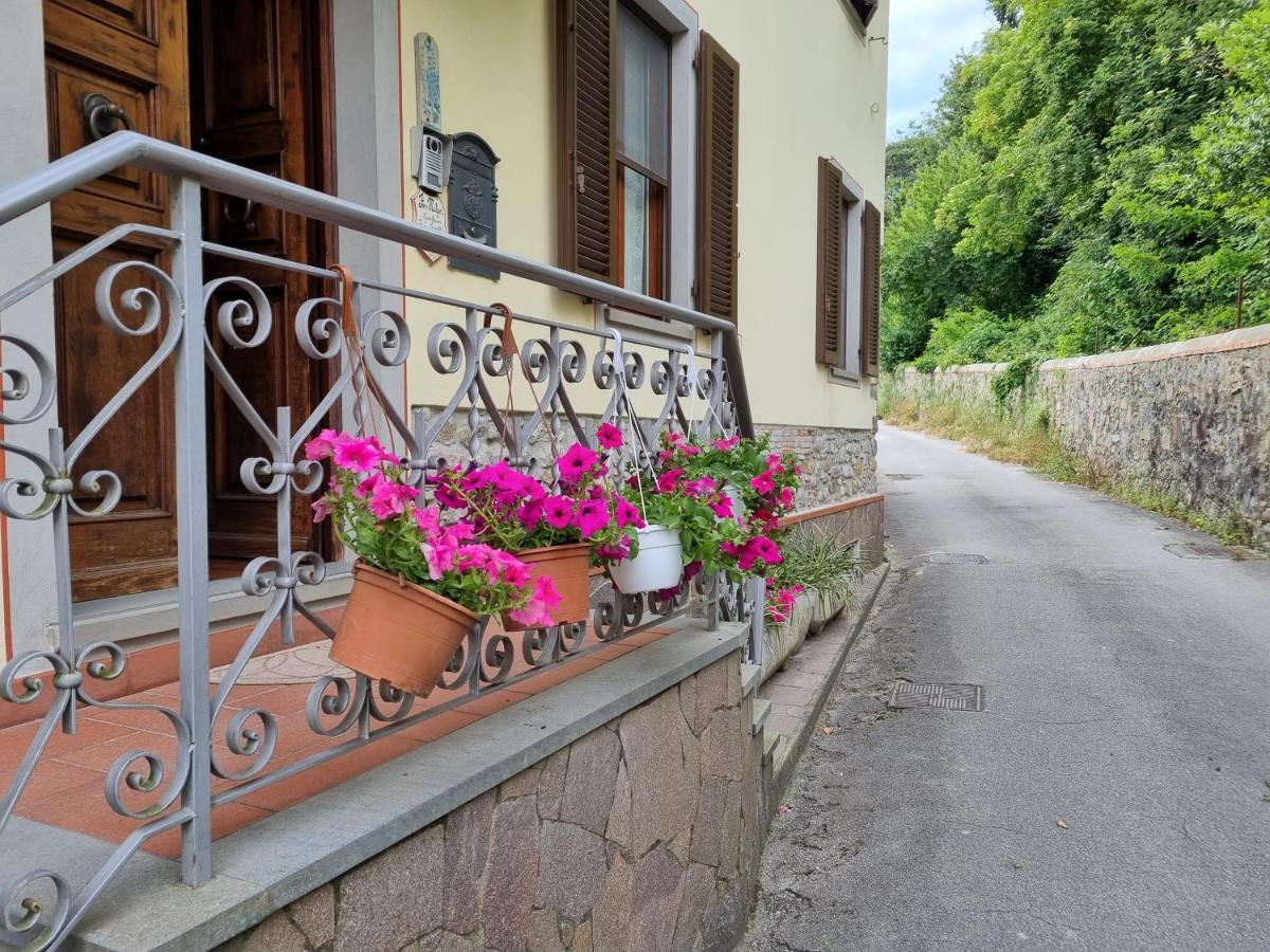 A Collodi Io & Mamma100 M Dal Parco Di Pinocchio Bed & Breakfast Ngoại thất bức ảnh